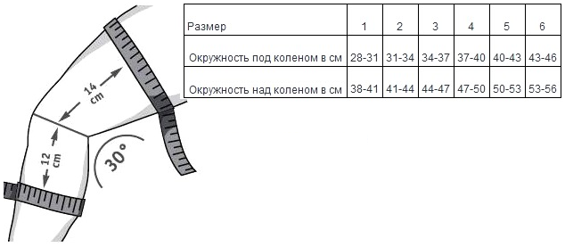 размеры genutrain s.png