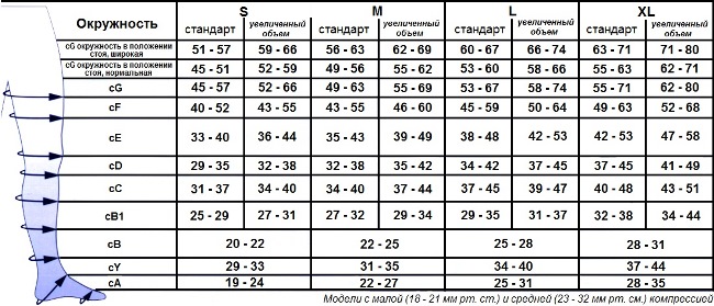 Размеры трикотажа BAUERFEIND