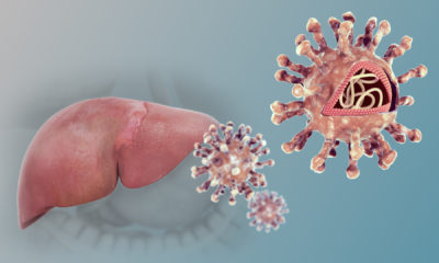 Вирус гепатита С - маленький, оболочечный, одноцепочечный вирус с положительной РНК